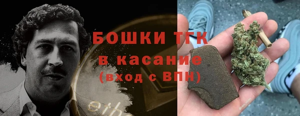индика Беломорск