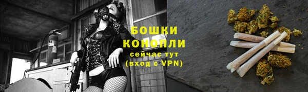 индика Беломорск