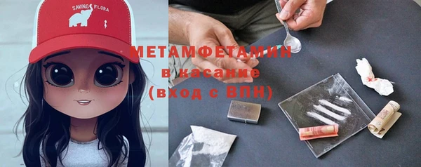 индика Беломорск