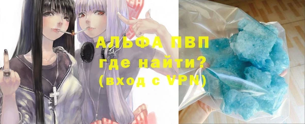 индика Беломорск