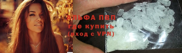 индика Беломорск