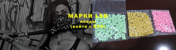 индика Беломорск