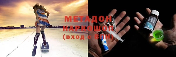 индика Беломорск