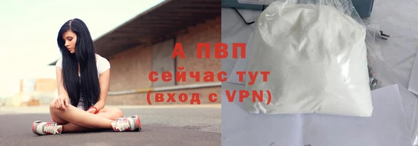 Альфа ПВП Белокуриха