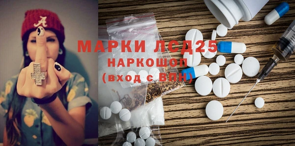 индика Беломорск