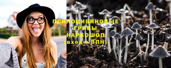 индика Беломорск