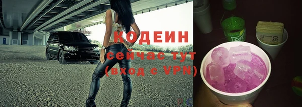 индика Беломорск