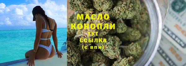 индика Беломорск