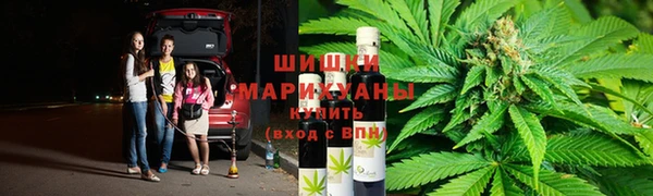 Альфа ПВП Белокуриха