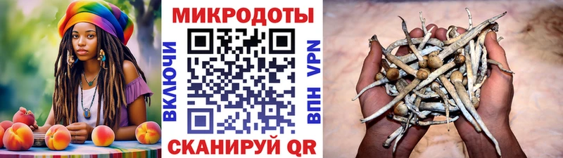 mega tor  Верхняя Пышма  Галлюциногенные грибы MAGIC MUSHROOMS 